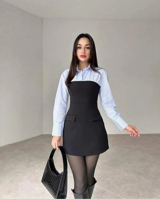 Ashley | Chic Long Sleeve Mini Dress